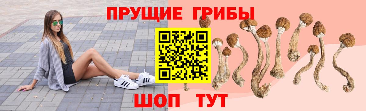 Галлюциногенные грибы GOLDEN TEACHER Шелехов