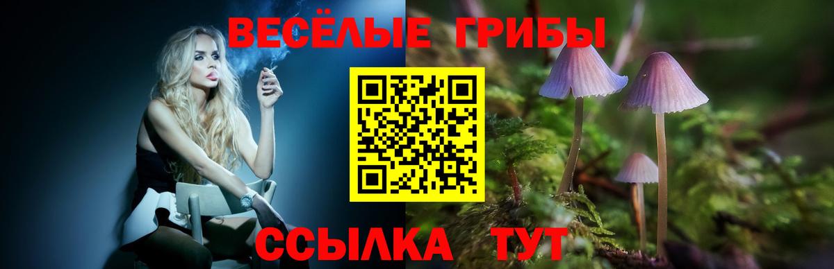 наркотики  Псилоцибиновые грибы прущие грибы  Псилоцибиновые грибы мицелий  Вход с VPN  Шелехов 